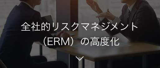 全社的リスクマネジメント（ERM）の高度化